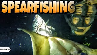 EP983-P2 - Spearfishing in Lubang Island