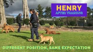Henry Training Video