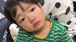 Playtube Pk Ultimate Video Sharing Website