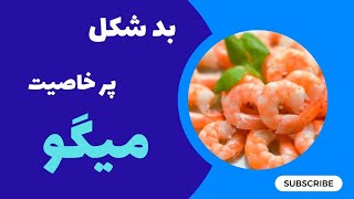 بد شکل پر خاصیت : پنج خواص مهم میگو برای بدن