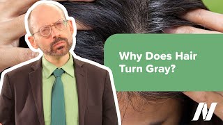 Why Does Hair Turn Gray?