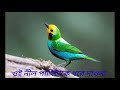 Oi nil pakhi take dhore daona/ওই নীল পাখিটাকে ধরে দাওনা