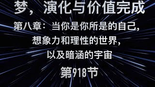 《梦，演化与价值完成》第八章 【当你是你所是的自己，想象力和理性的世界，以及暗涵的宇宙】第 918节