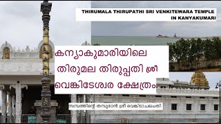 കന്യാകുമാരിയിലെ തിരുമല തിരുപ്പതി ശ്രീ വെങ്കിടേശ്വര ക്ഷേത്രം I  The Tirupati Temple I in #kanyakumari