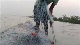 একেবারে ইয়া বড় ভেটকি মাছ 🐟🐟 পেলাম @sundarban\u0026 village @