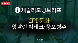 [체슬리모닝브리프] CPI 둔화. 엇갈린 대형기술주/중소형주 [24/07/12]