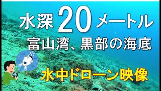 富山湾、黒部から水深２０メートルの海底を水中ドローン撮影[ROV]