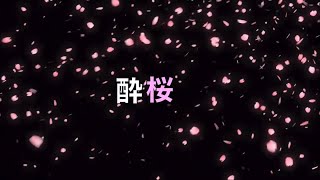 夜桜お七 / 酔桜 2024.11.23