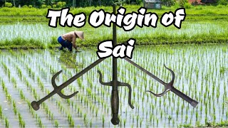 The Origin of Sai