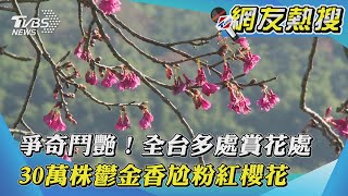 【網友熱搜】爭奇鬥艷！全台多處賞花處　30萬株鬱金香尬粉紅櫻花｜TVBS新聞