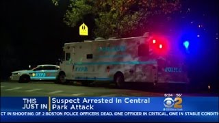 Central Park Attempted Rape Arrest