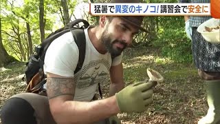 猛暑で“キノコ”に異変…鑑定難しく!? 食中毒防ぐための講習会「専門家でも難しい」【新潟】 (23/10/12 18:50)