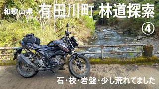 和歌山県 有田川町 林道探索④　GXS150バンディット 2024年11月