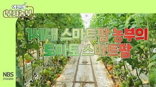 [역전의부자농부 293회] 1세대 스마트팜 부자농부의 토마토 스마트팜