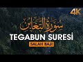 Dinlemeye Doyamayacaksınız - Teğabun Suresi | Salah Baji Surah Taghabun | Heart Touching Quran | 4K