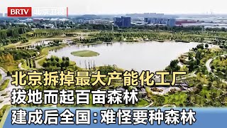 北京拆掉最大产能化工厂，拔地而起百亩森林，建成画面首公开，全国惊叹：难怪要种森林【我是规划师】