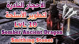 +10  الأحجار النادرة لتطوير الأسلحة  Somber Ancient Dragon Smithing Stones |  ELDEN RING