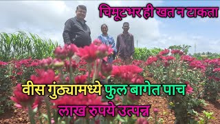 वीस गुंठ्यामध्ये फक्त दोन हजार खर्च करून कमवले पाच लाख || Dnyanmadhyam || #Dnyanmadhyam