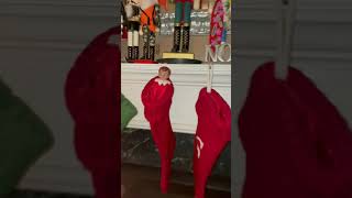 Elf CAUGHT on camera - #shorts