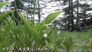 魅せろ！活火山・浅間山（登山編ﾛﾝｸﾞRev 1）