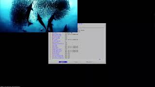 Framebuffer video test