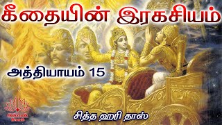 கீதையின் இரகசியம் 15 வது அத்தியாயம்