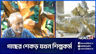 গাছের শেকড় দিয়ে তৈরি নান্দনিক আসবাবপত্র | News24