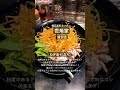 【ラーメン食べ歩き】壱角家 浦安店 一麺惚れ 壱角家 チェーン店 油そば ラーメン らーめん 浦安市 食べ歩き グルメ youtubeshorts