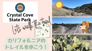 【アメリカ生活】2022年これはハマるよ！南カリフォルニアのトレイルを歩こう！＆ラグナビーチ　#Crystal Cove State Park #Laguna Beach