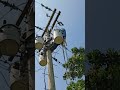 lineman work on the pole