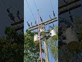 lineman work on the pole