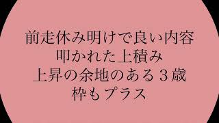 12/8  大井競馬重賞　勝島王冠　予想