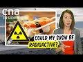 Dangerous Sushi? Is Seafood Safe To Eat After Fukushima Nuclear Wastewater Release?