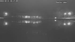 Buhl Park - Hermitage, PA - Live Lake Julia Camera