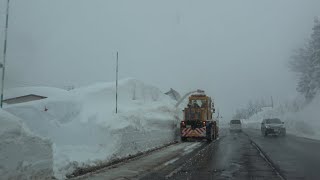 連日の大雪で国道18号線が凄いことに(Niigata)令和4年2月23日午後撮影DiscoverJapan