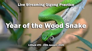 Year of the Wood Snake - Live Qigong Class