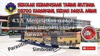 Simbiosis antara haiwan