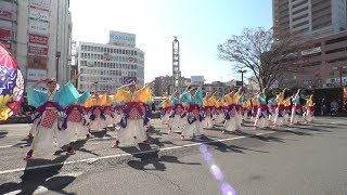 りぐる @よさこい東海道(沼津駅南口演舞場/前日祭)) 2018-11-10T11:54