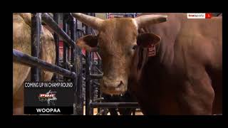 แข่งขันขี่วัวพยศ ปี 2022 สนามที่ 4.ATLANTA.PBR2022:Pro Bull Riders.