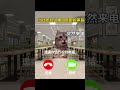 当代年轻人害怕的声音 喵不可言 cat funny 猫meme 猫meme小剧场 shorts 年轻人