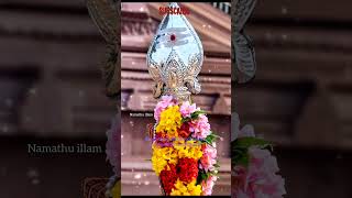 துன்பம் போக்கும் முருகனின் வேல்மாறல் #velmaral #வேல் #வேல்மாறல் #murugan