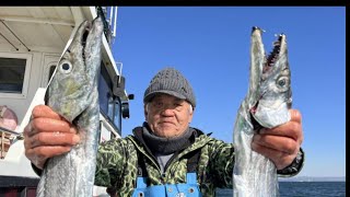 東京湾でタチウオ釣り・ドラゴンサイズ連発