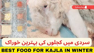 Best Food for Kajla in Winter | Kajlon Ki bhtreen Khuraak | Sardi ki khurak