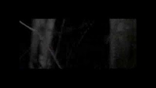 Priestess - Run Home