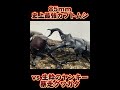 85mm最強カブトムシ　夜叉丸vs超キチガイクワガタセアカフタマタクワガタ　 甲虫王者ムシキング shortvideo