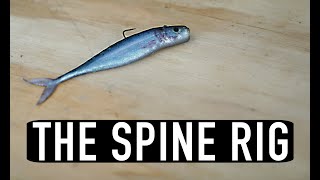 Ike In The Shop: The Spine Rig