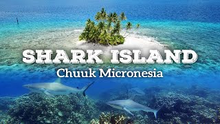 DIVING AT THE SHARK ISLAND 【 Chuuk Micronesia 】