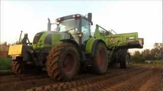 Claas Arion 640 wortelen rooien 2012 - Deruyttere uit Kortemark