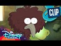 The Curse 🔮| Amphibia | Disney Channel