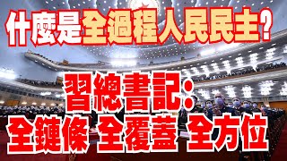 什麼是全過程人民民主？來聽聽學者的精闢總結！